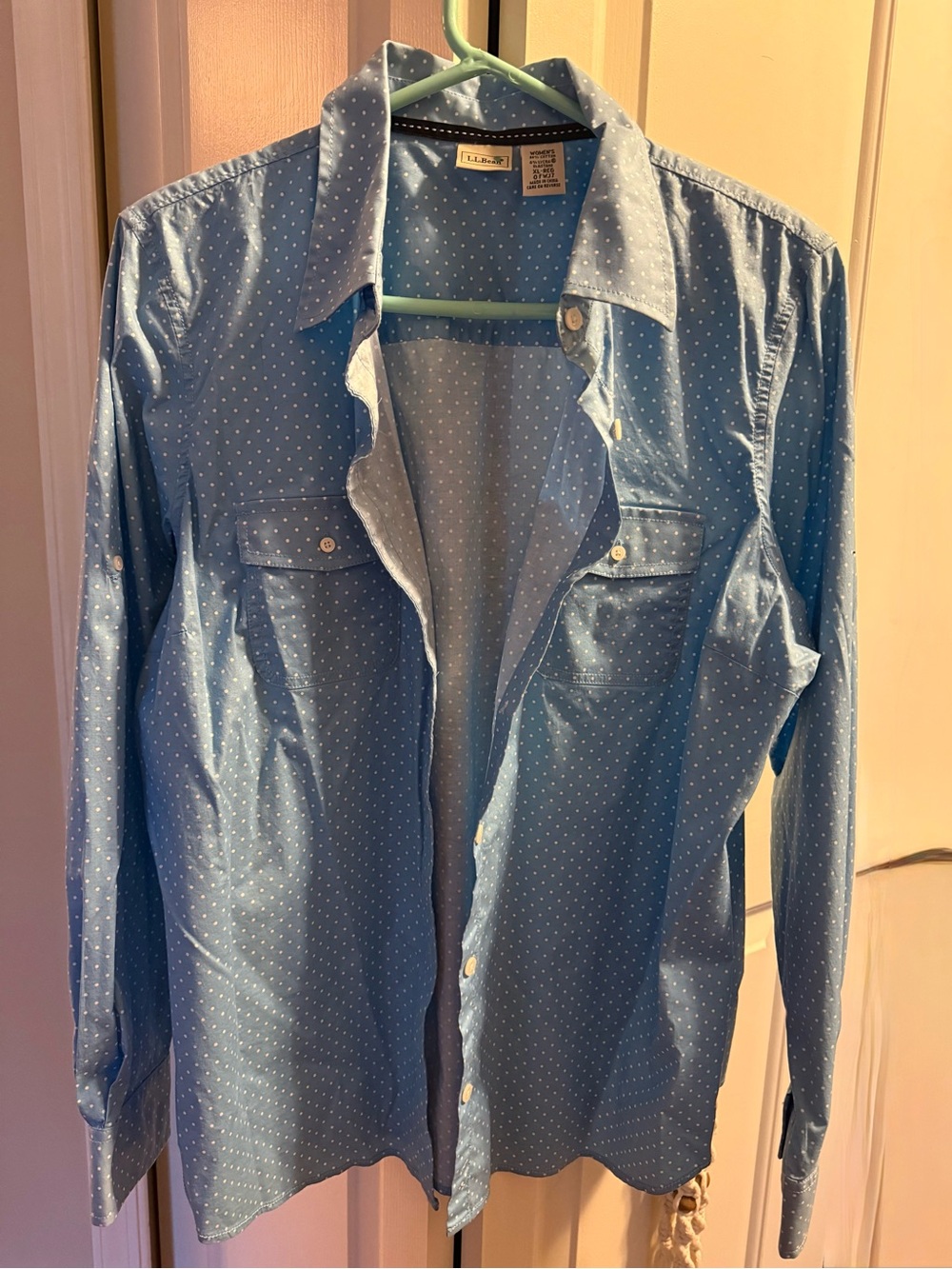 L.L. Bean Blue Polka Dot Long-Sleeve Button-Down Shirt